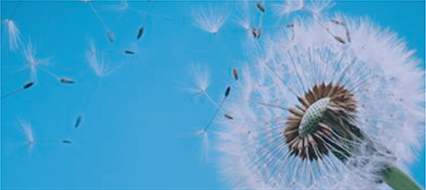 福利院免费区观看区200